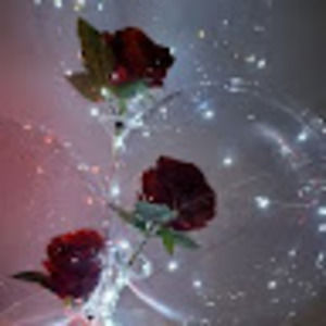 Meet your Posher, Zokie